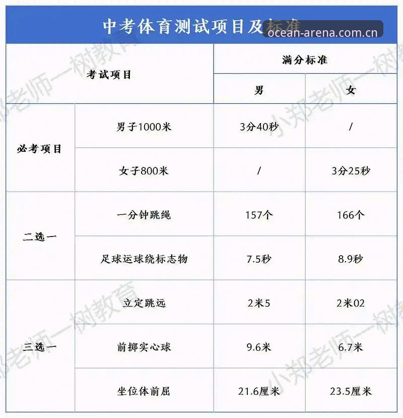 资深体育玩家分享：2026新版体育平台使用心得与实战经验